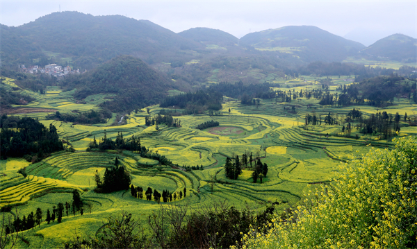 云南省文化和旅游厅
