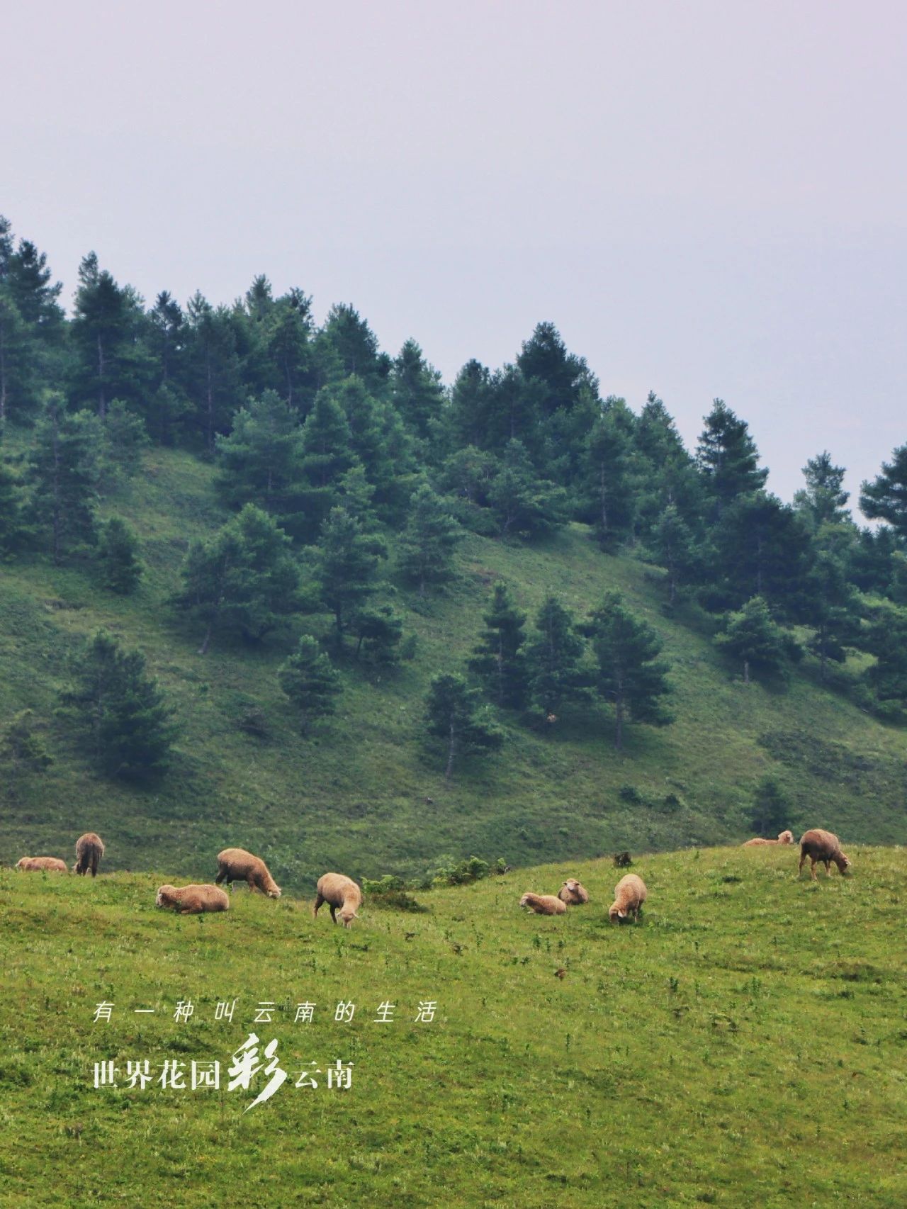 云南省文化和旅游厅