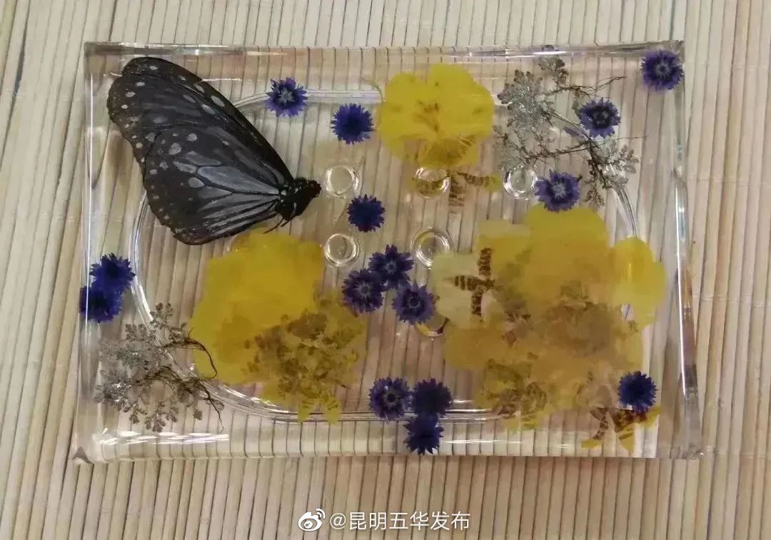 昆明五华发布