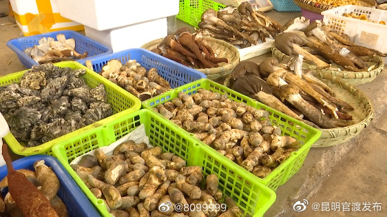 帮你们问了！今年野生菌价格普遍偏高，具体价格→（据说端午有雨）