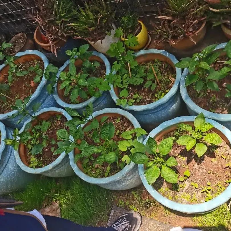 昆明西山教育体育