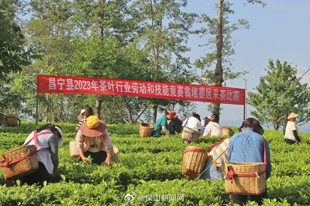 保山新闻网