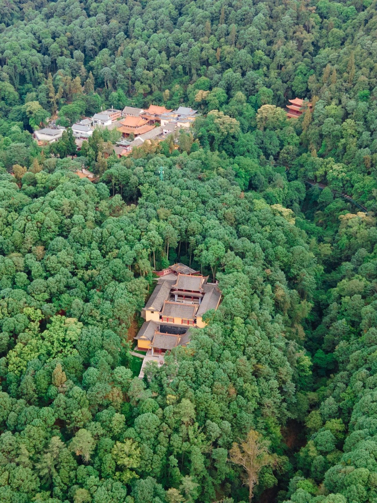 云南省文化和旅游厅