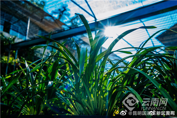 云南省未来24小时天气预报