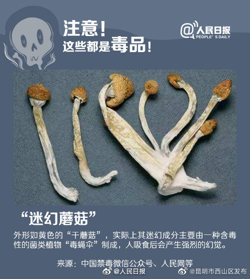 昆明市西山区发布