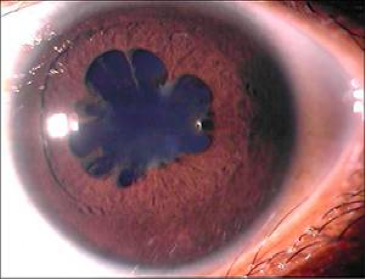 昆明信息港/cnkmxxg