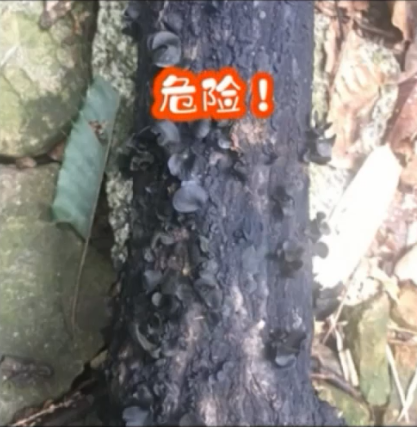 昆明信息港/cnkmxxg