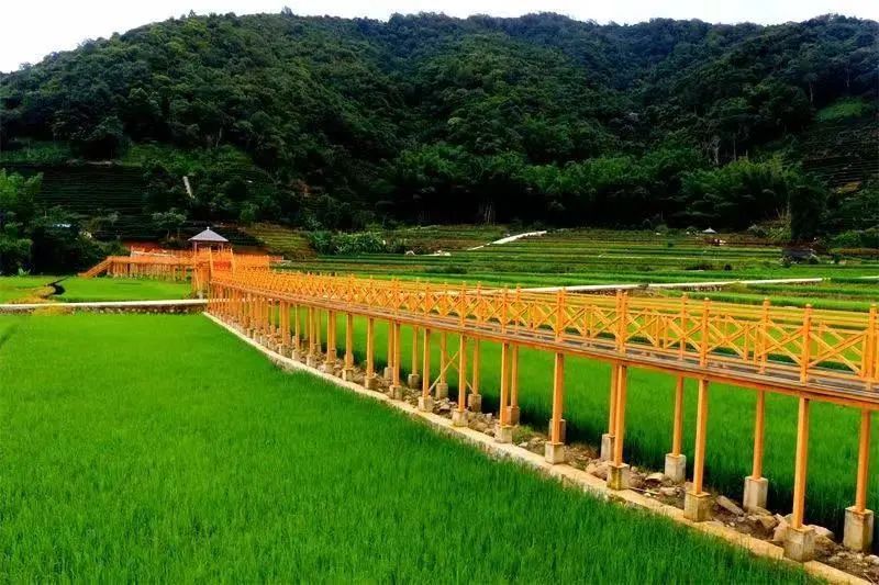 云南省文化和旅游厅