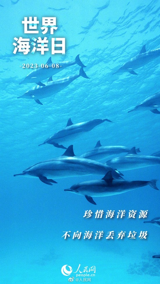 人民网