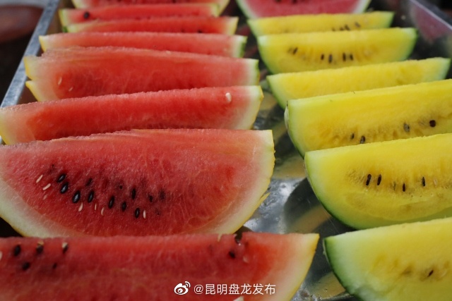 昆明盘龙发布