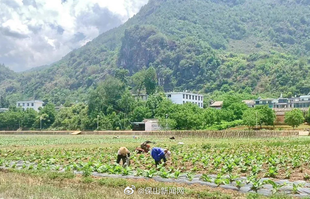 保山新闻网