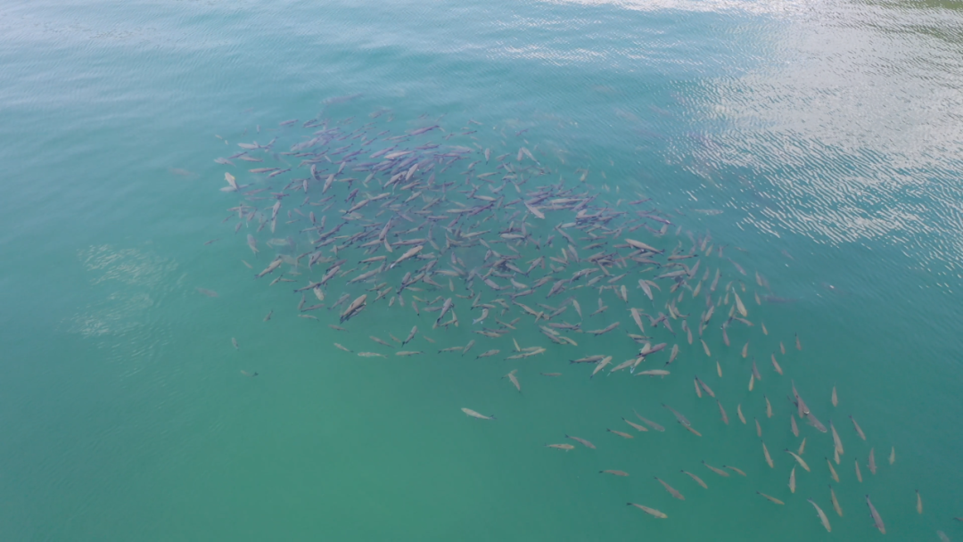 昆明信息港/cnkmxxg