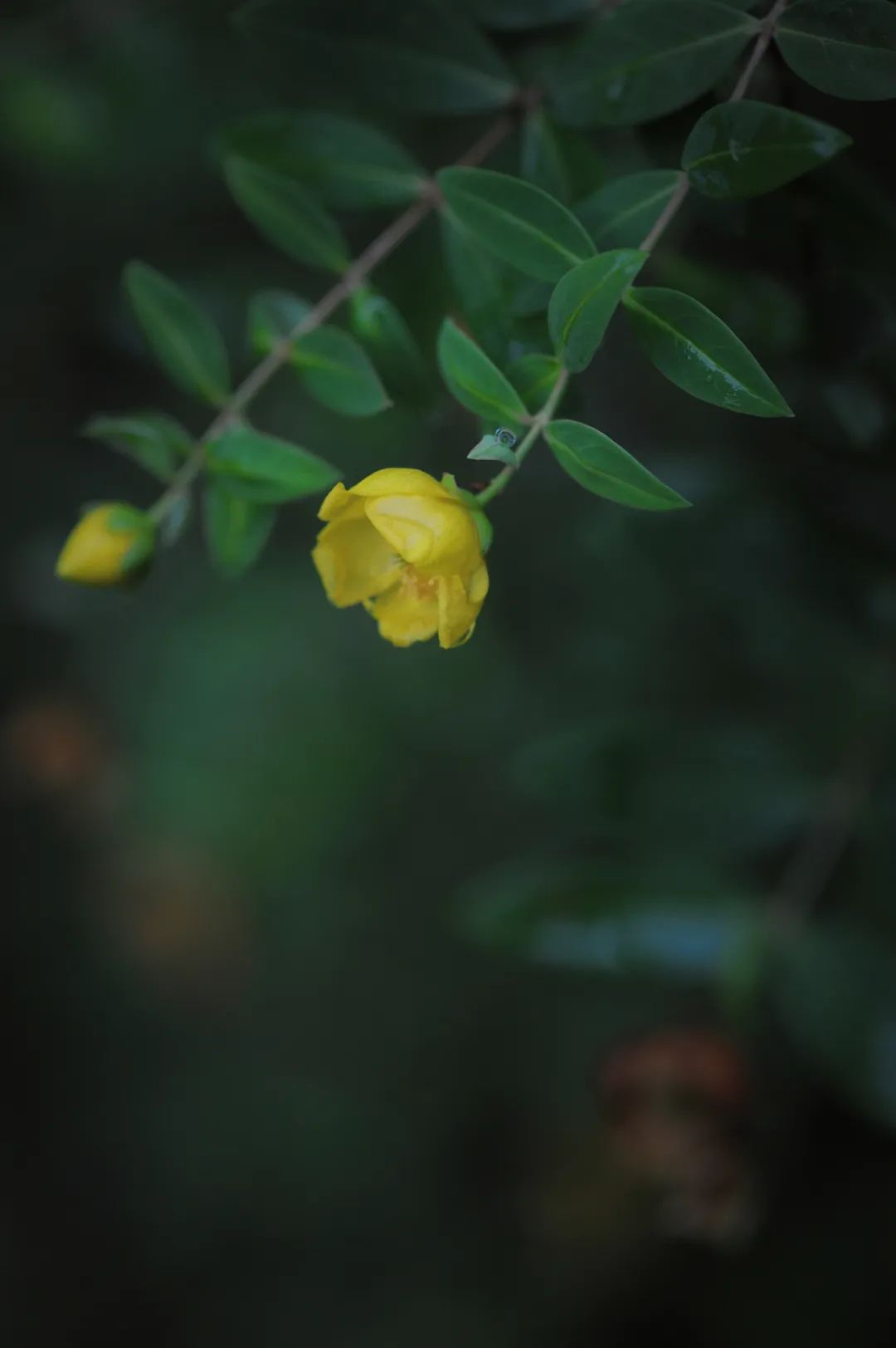 昆明文旅