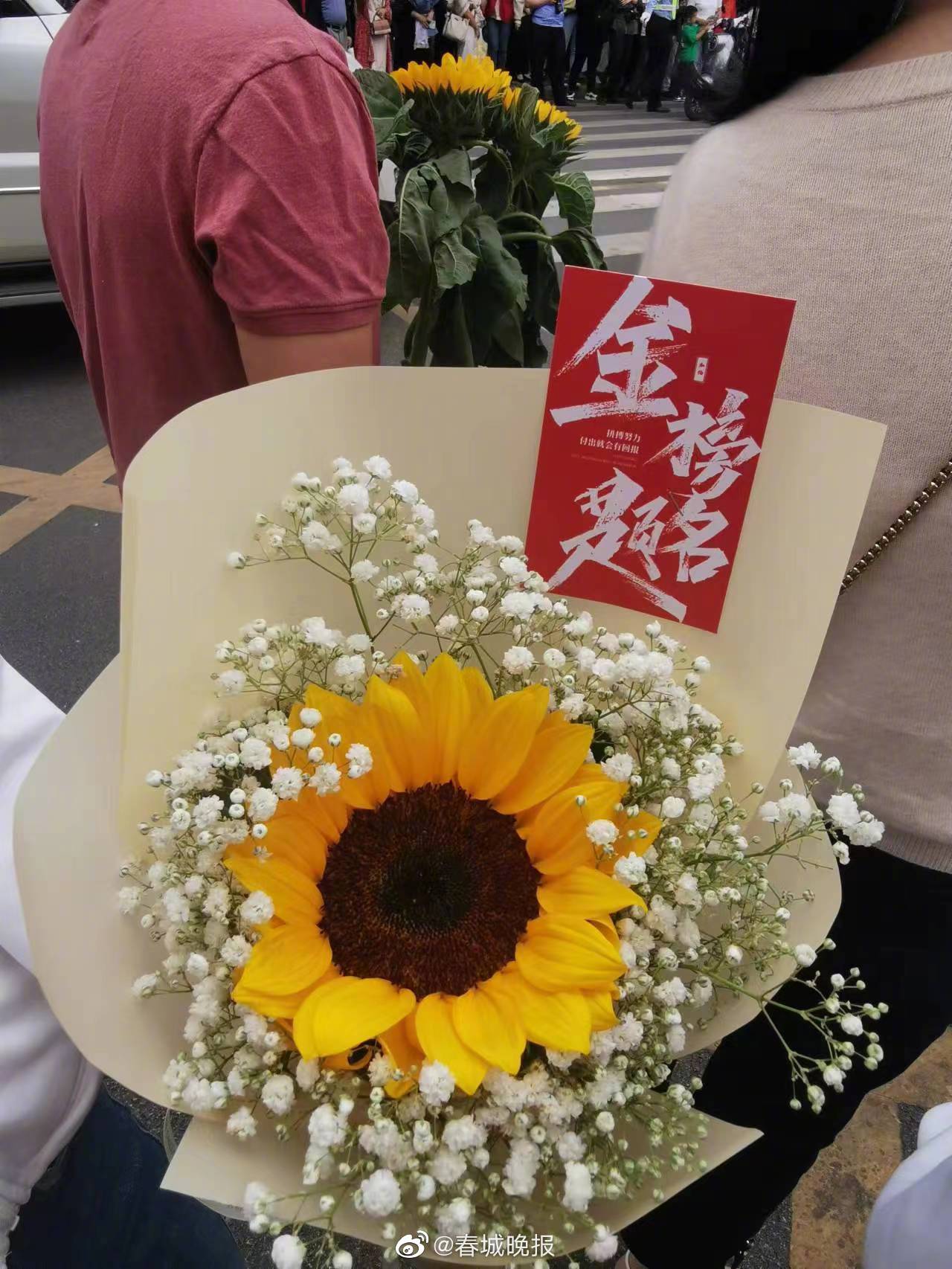 春城晚报