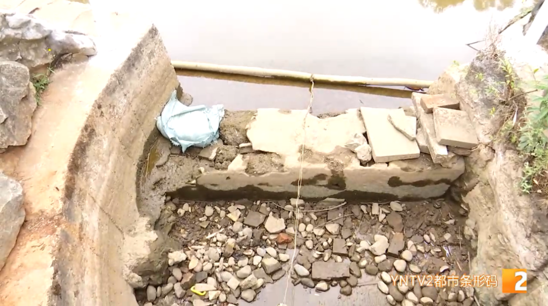 昆明信息港/cnkmxxg