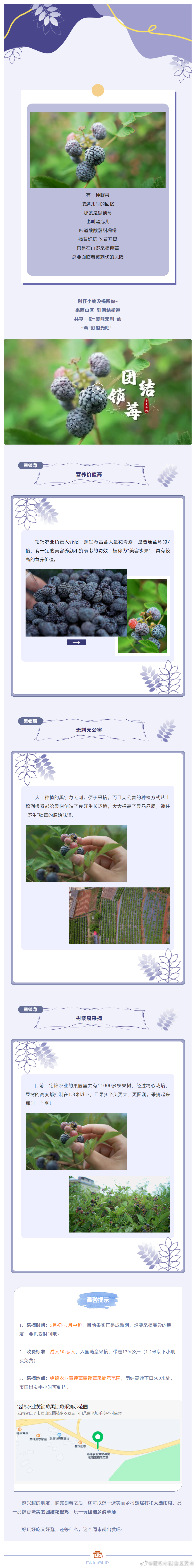 这份属于西山的“莓”好时光，邀你一起共享！