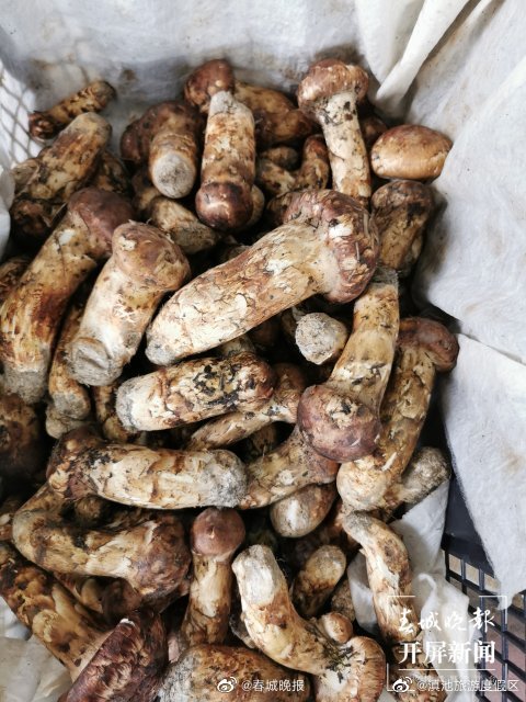 滇池旅游度假区