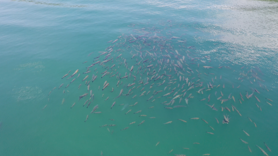 昆明信息港/cnkmxxg