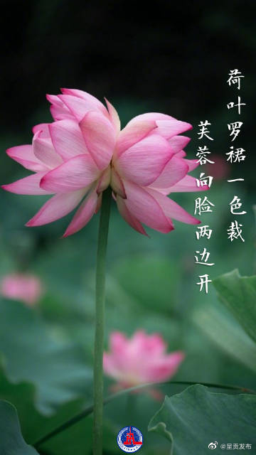 呈贡发布