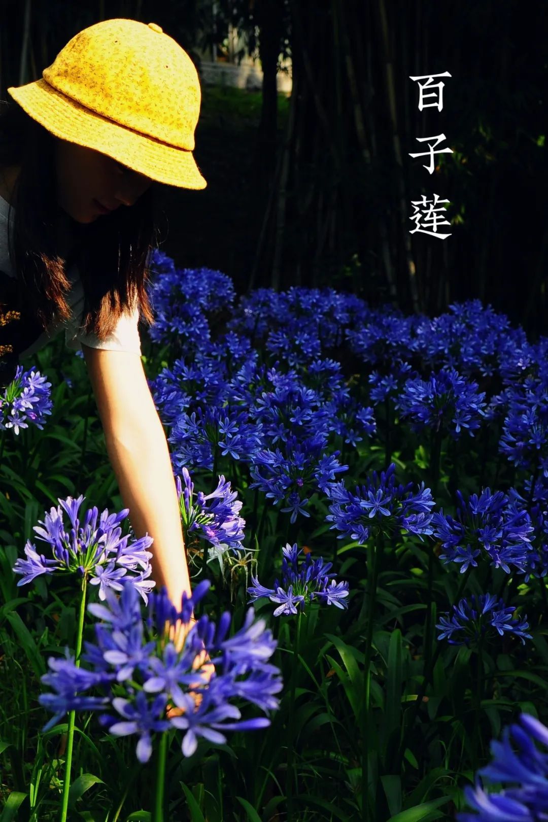 昆明市金殿名胜区