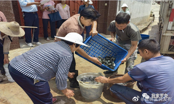 罗免镇：发放鱼苗为群众增收注入动力