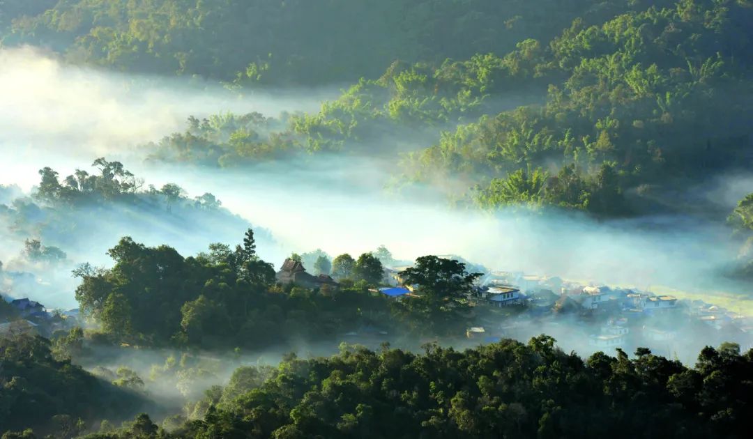 云南省文化和旅游厅
