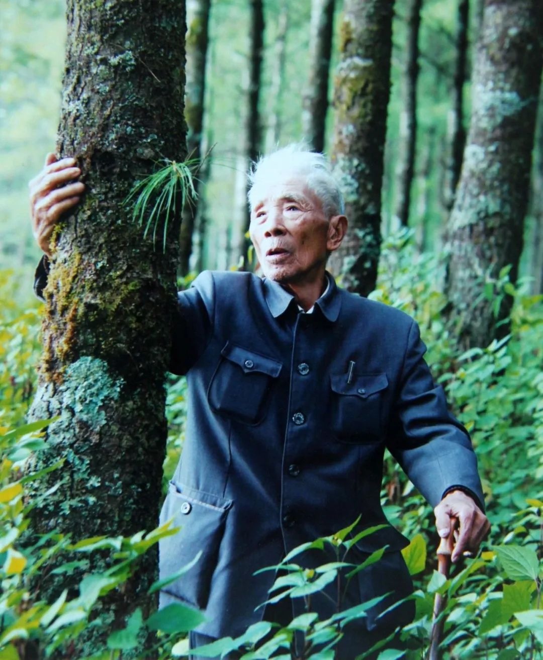 保山新闻网