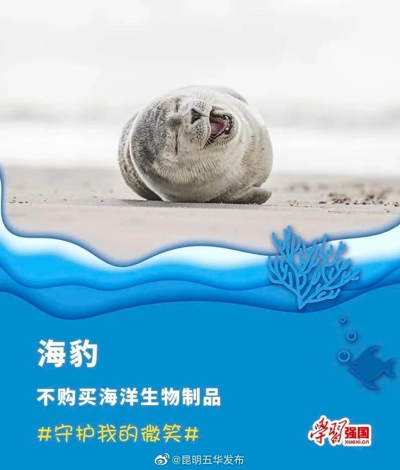 昆明五华发布