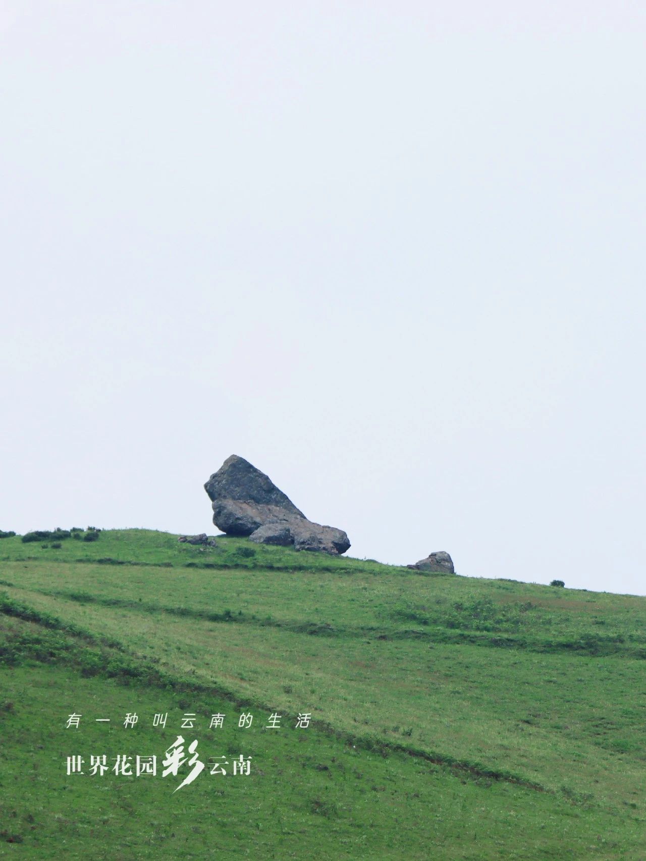 云南省文化和旅游厅