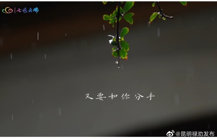 《书籍里的云南》·《北门先生》