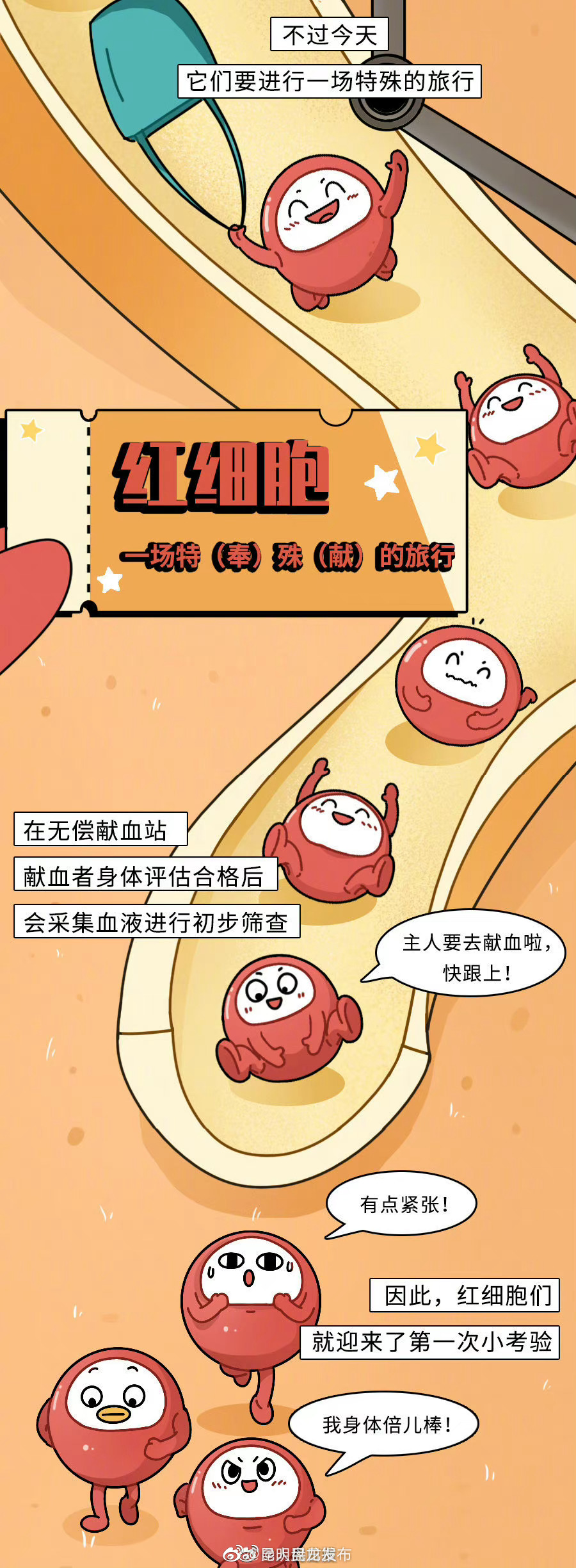 昆明盘龙发布