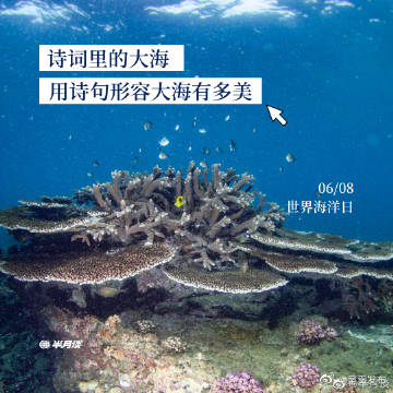 呈贡发布