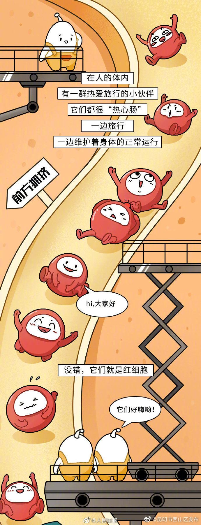 昆明市西山区发布