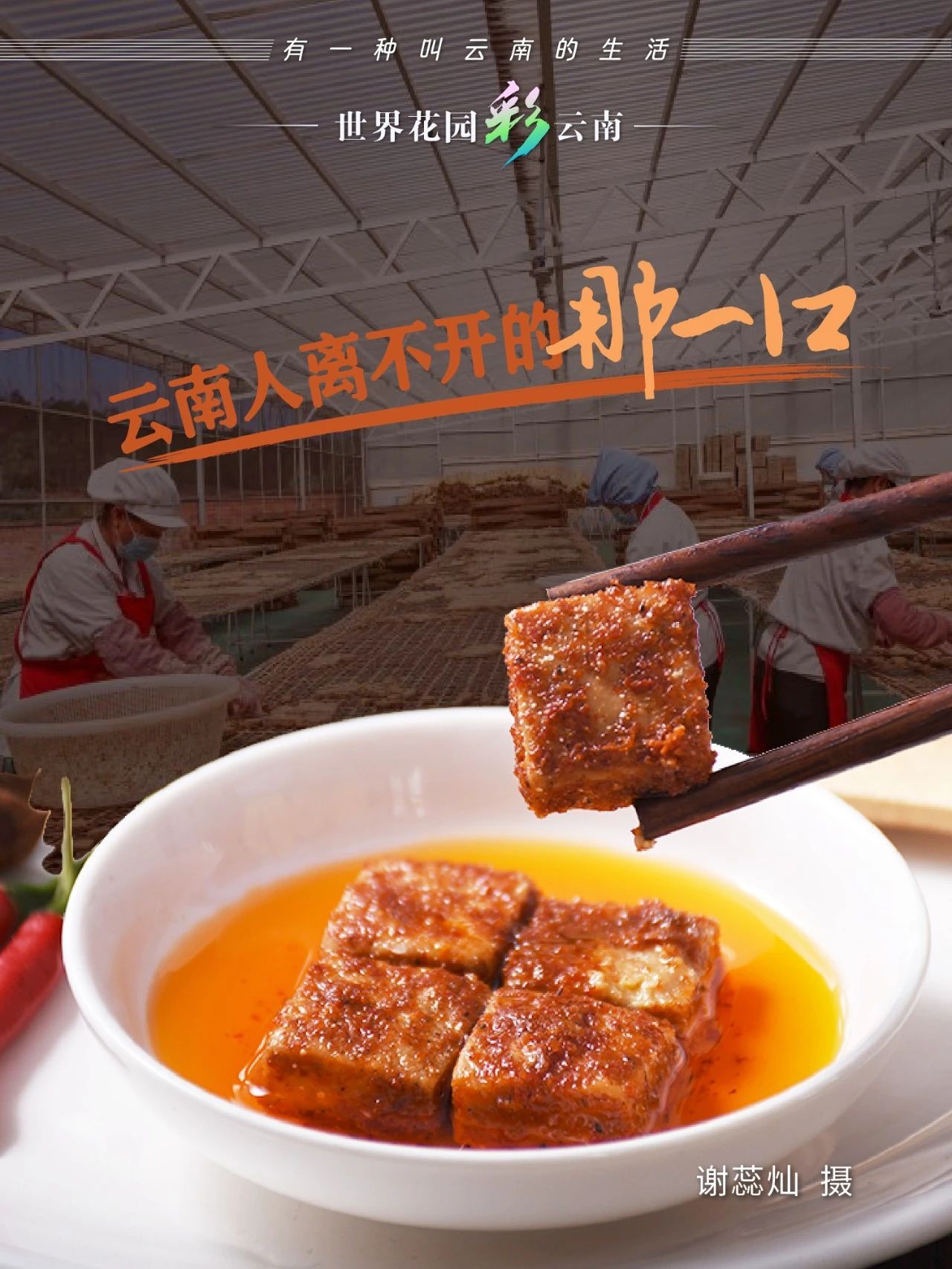 云南省文化和旅游厅