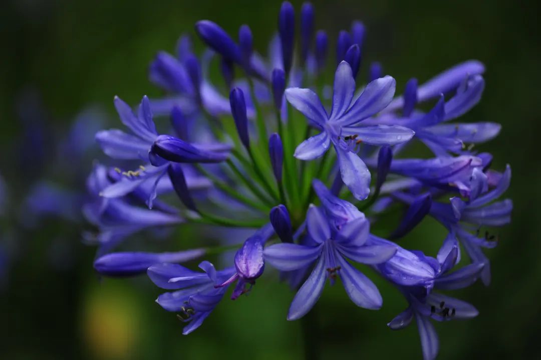 昆明市金殿名胜区