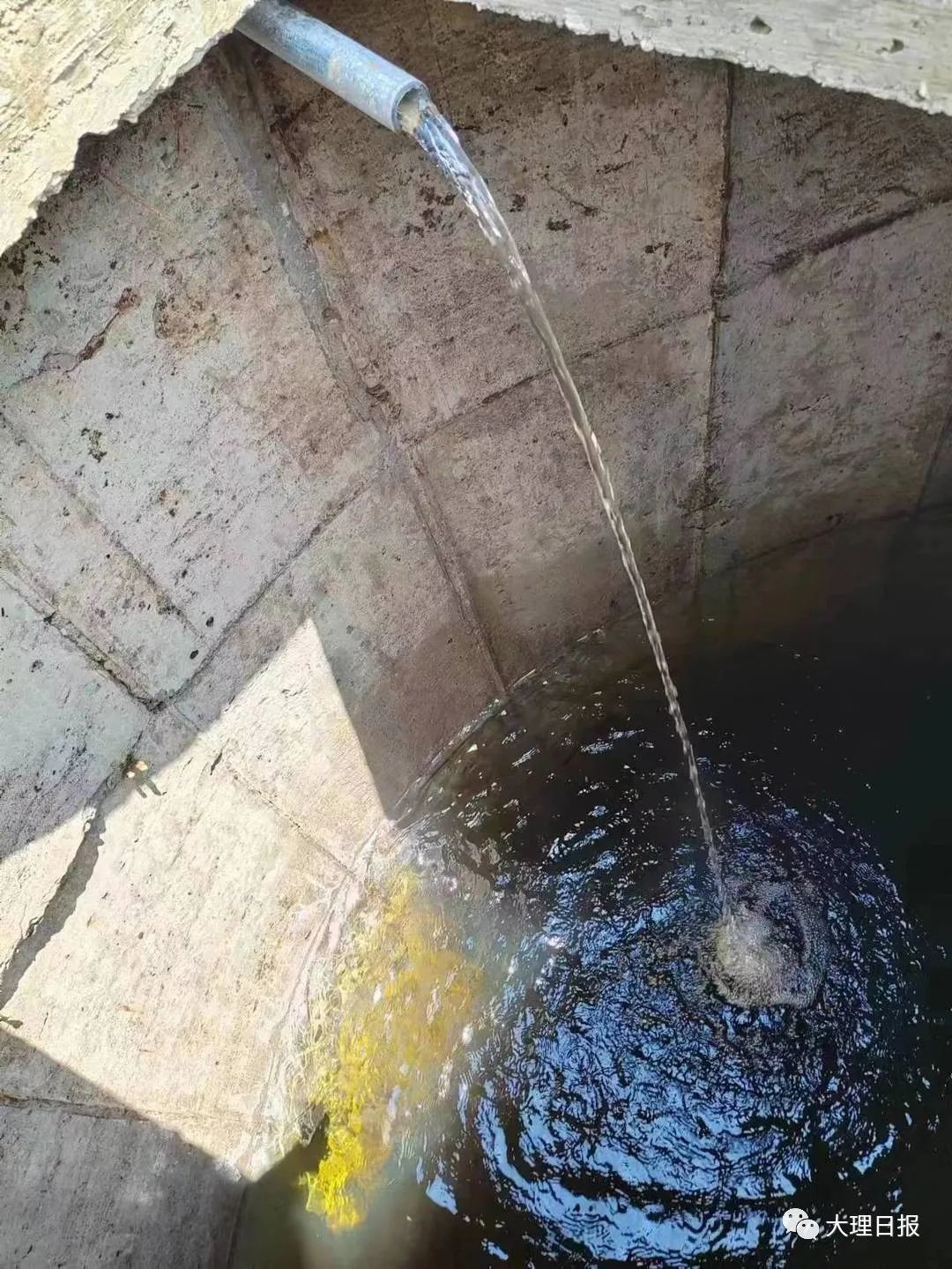 大理日报