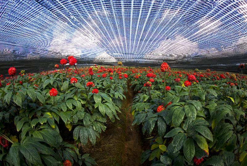 云南省文化和旅游厅