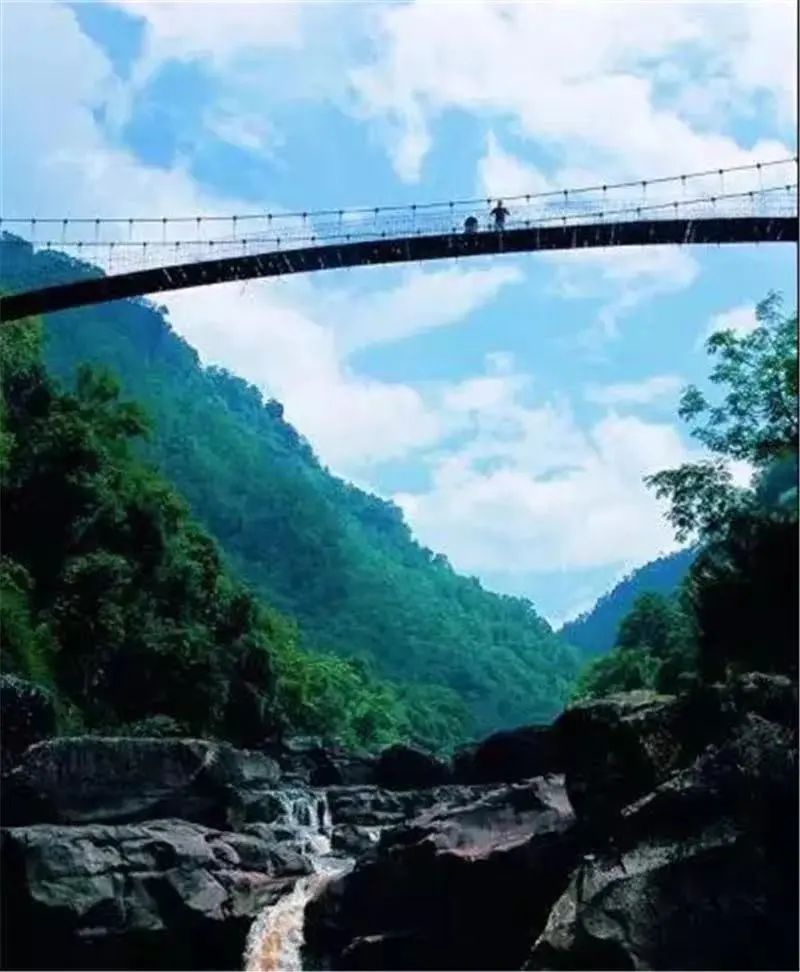 云南省文化和旅游厅