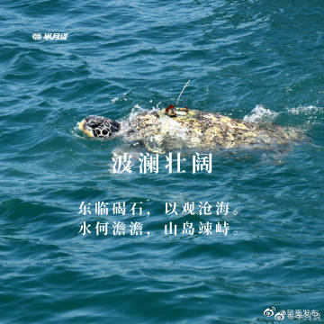 呈贡发布