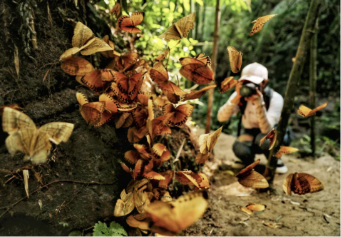 云南省文化和旅游厅
