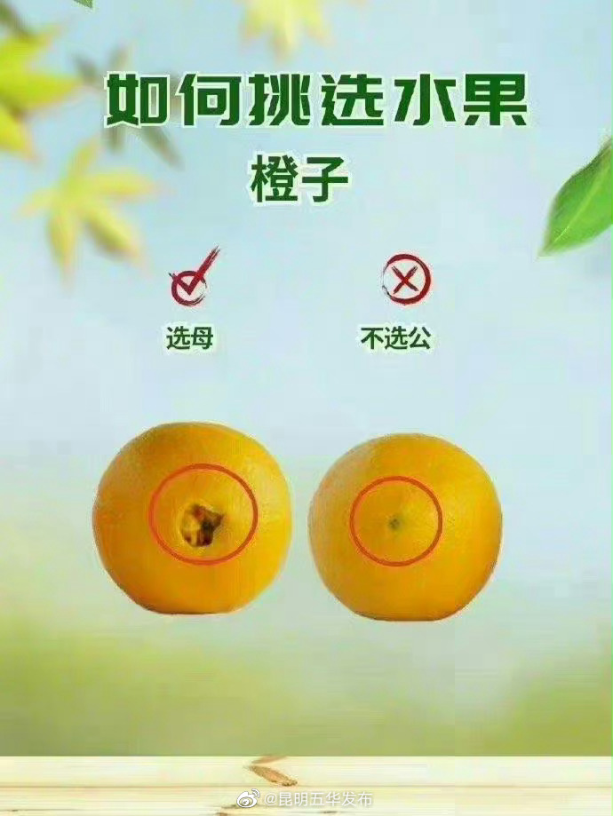 昆明五华发布