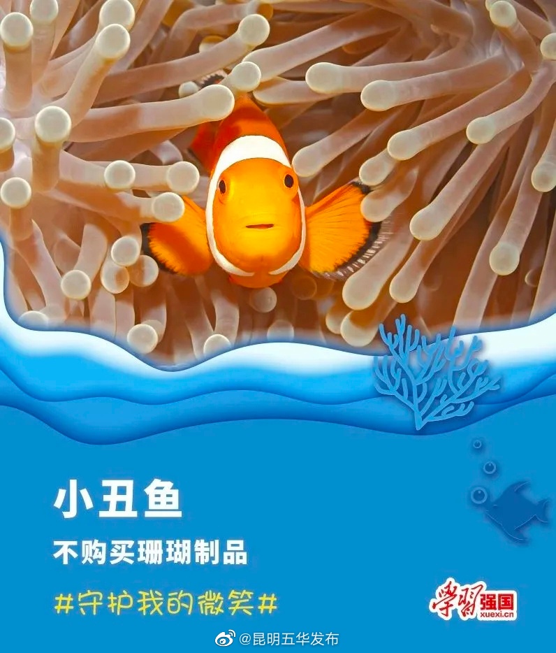 昆明五华发布
