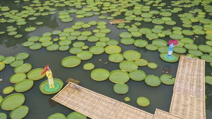 云南省文化和旅游厅