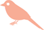 健康腾冲