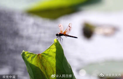 呈贡发布