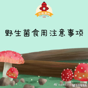 昆明经济技术开发区管委会