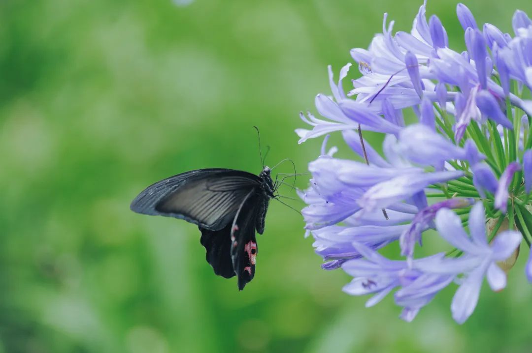 昆明市金殿名胜区