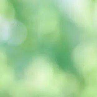 晋宁诗意的栖居地