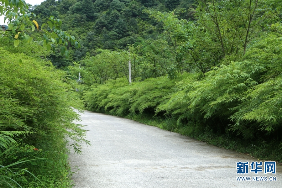 云南省文化和旅游厅
