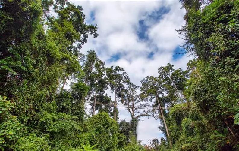 云南省人民政府网